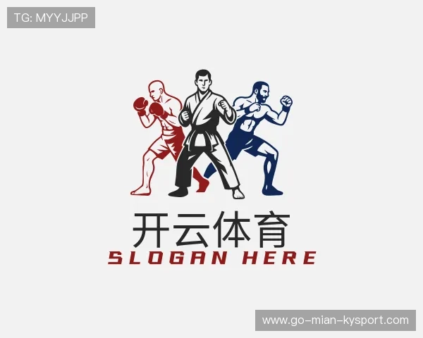 关于开云电竞服务